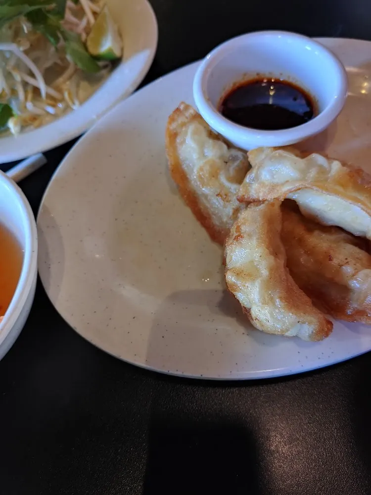 Fried Dumplings